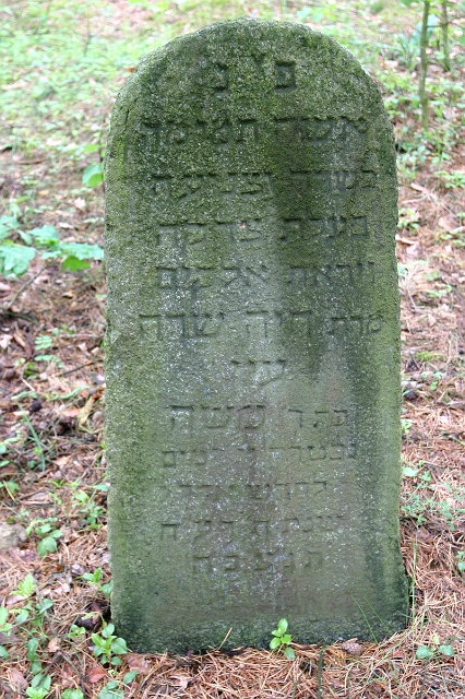 1918 IMG_0419.jpg - Here lies a simple and honest woman, who was G-d fearing and gave much to charities; Chaya Sara Ain, the daughter of Moshe; died .....day of Adar 5678 Feb. -March 1918.  (IMG_0419.jpg)